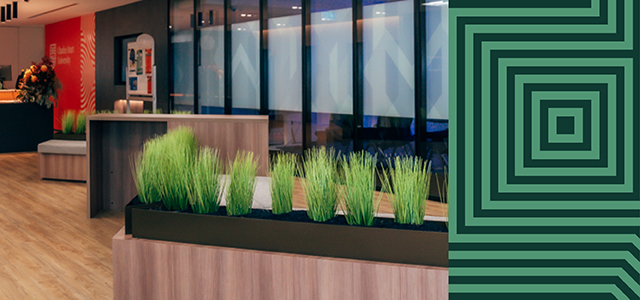 Photo of Charles Sturt University reception area, with green and black graphic on the right hand side of frame