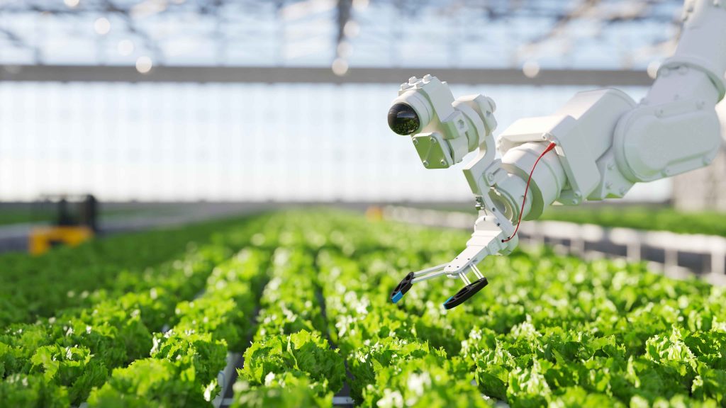 A machine using artificial intelligence to water crops in a greenhouse